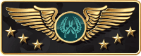 Supreme Master First Class CS2/CSGO Rank Badge